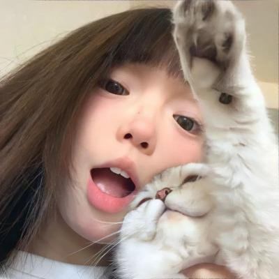 鸟语惊魂